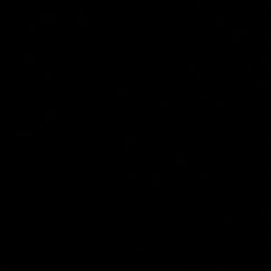 Meet your Posher, Danica